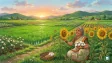 A thriving agricultural field representing the MSP price hike for Indian crops